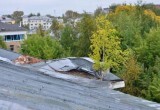 Судьба ДКЖ: на страшных фото разрушений видно, что на крыше растут деревья и кустарники (ФОТО)