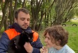 Паблик администрации Вологодской области взял интервью у… кота