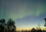 Сегодня ночью жители Вологодчины наблюдали северное сияние