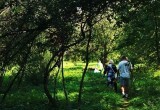 Экологический праздник "Один чистый день" взбодрил посетителей парка "Осановская роща"
