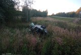 В Вологодской области старичок погиб в ДТП, оказавшись в перевернувшемся автомобиле