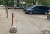 Во дворе музыканта Виктора Колесова спилили здоровые вязы