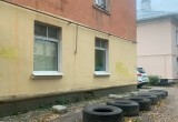 Во дворе музыканта Виктора Колесова спилили здоровые вязы