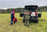Спустя сутки спасатели вывели из леса жительницу Вологодского округа