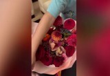 Марию Кожевникову с четвертым малышом выписали из роддома (фото)