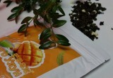 Чай&Восток — ваш проводник в мир настоящего китайского чая