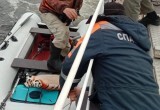 Сегодня на Белом озере спасатели «АСС Вологодской области» нашли попавшего в беду рыбка