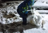 К восточным районам Вологодчины подкралась зима: первый настоящий снег в середине октября
