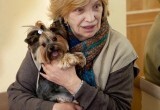 Вологодская собака Тиффани сыграла в спектакле с Геннадием Хазановым и Ольгой Остроумовой