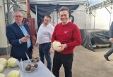 Соцсети врио губернатора Вологодской области впечатляют