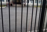 Напротив пятой школы в 11 часов устроили квартирник «Вологодская плетень»