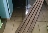 Глава Сокольского округа взял ситуацию с потопом в детскому саду под контроль