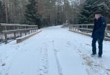 В Вологодской области восстановили движение по ранее рухнувшему мосту