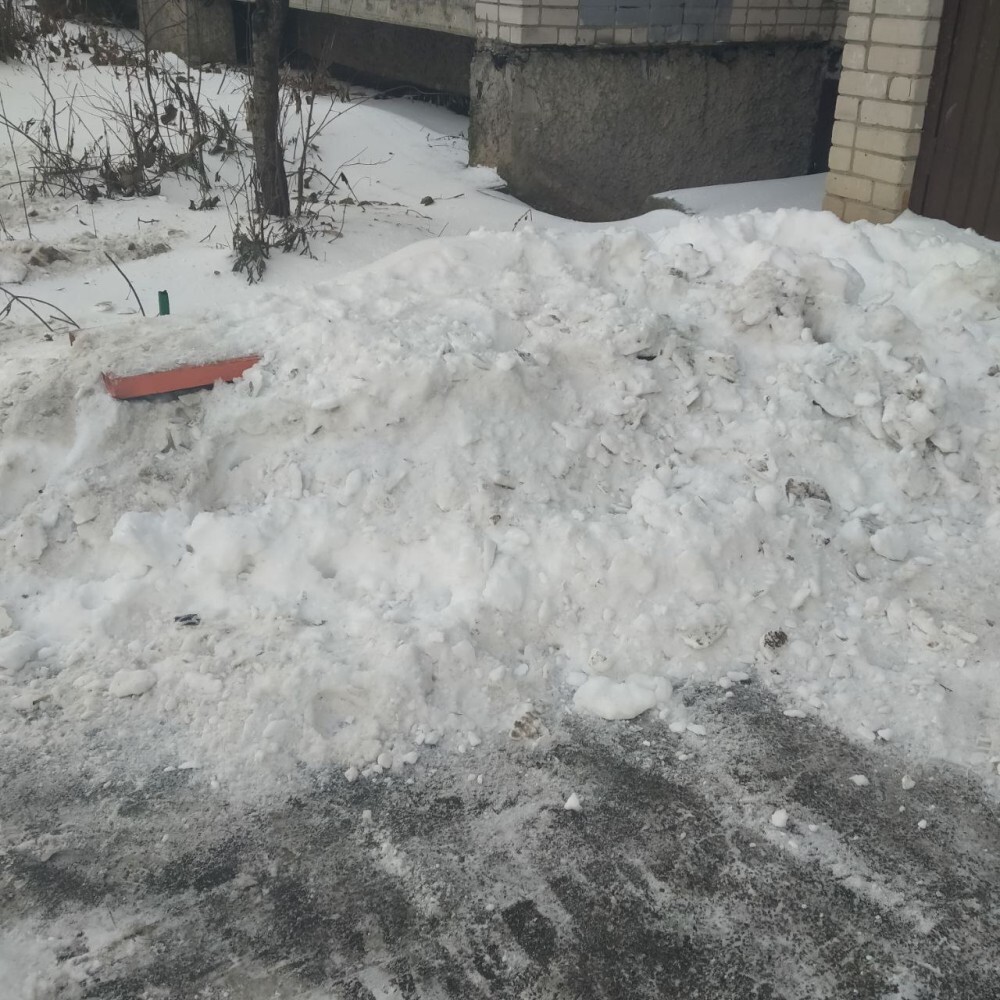 В Вологде у дома на Благовещенской, 91 дворник свалил весь снег... на  скамейки | 28.11.2023 | Вологда - БезФормата