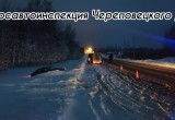Кровожадный житель Иркутской области расправился с 31-летней жительнице Вологодской области на её родине