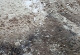 "Месиво снега и грязи": Район Элма решил восстать против администрации Вологды