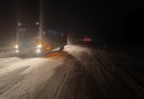 Два часа назад в Вологодской области пассажирский автобус бодался с живым лосем