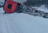 В Вологодской области на региональной трассе перевернулся лесовоз: причину  ДТП не афишируют