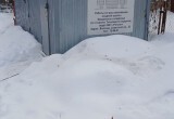 Ветеринарная служба Вологодской области потребовала от собачников прекратить устраивать туалет на могилах героев 