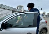 Вологодские автоледи получили цветы от сотрудников ГИБДД