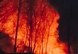 Ужасный пожар в Вологодской области лишил жилья молодую семью: возможны жертвы