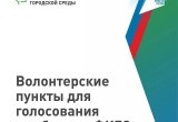 80 пунктов голосования за объекты благоустройства на 2025 год откроются в Вологде (адреса)