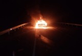 На трассе в Вологодской области после ДТП загорелся автомобиль: пострадали 4 человека
