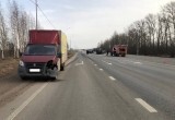 Раскрепощенный пожилой водитель ВАЗ-2107 устроил мощное ДТП в Вологодской области 