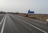 41-летняя жительница Вологодской области решила испытать неизведанное и попала в сводки ГИБДД