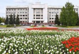 К посадке цветов и деревьев приступают в Вологде