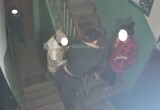 Вологжане вновь жалуются на «нехороший дом»: полиция бездействует