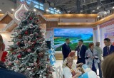 Невысокую оценку Вологодской области на выставке «Россия» поставил известный политолог