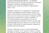 Российский депутат предложил провести «мини мобилизацию» и отправить на СВО посетителей ночных клубов