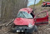 Появились подробности смертельного ДТП в Вологодской области: личность пострадавшего установлена
