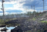 Лесной пожар в Бабаевском округе оперативно ликвидирован