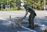 Вологодские росгвардейцы устроили мероприятие белгородским школьникам 