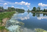 Жители Непотягово тревожатся из-за неестественного цвета воды в реке Шограш