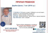 В Вологодской области пропал 7-летний мальчик: ищут Дербина Дениса