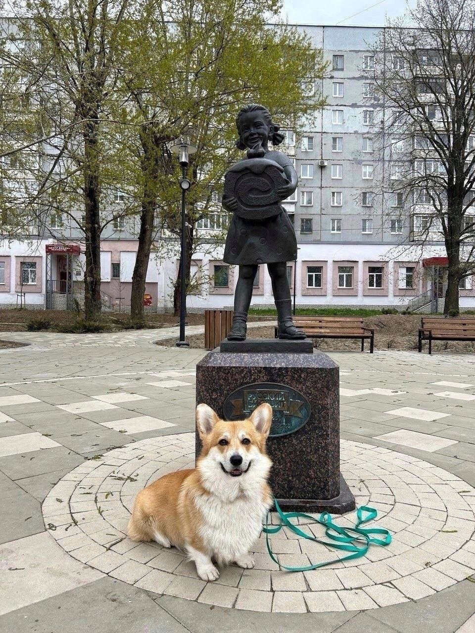 В Череповце появился новый гид - пес Федор | 18.06.2024 | Вологда -  БезФормата