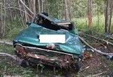 Вологодская автолюбительница отправила на свалку раритетный автомобиль всего за пару секунд