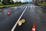 52-летняя женщина госпитализирована в Вологодскую областную больницу с ушибом головного мозга