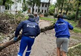 В Вологде навели порядок в парке Дворца культуры железнодорожников