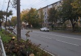 В Вологде снова принялись за кронирование деревьев