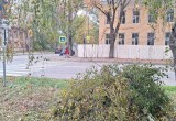 В Вологде снова принялись за кронирование деревьев