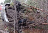 Появились подробности с места ДТП в Вологодской области: странного водителя извлекали спасатели