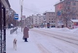 На востоке Вологодской области Скорая помощь попала в серьезное ДТП