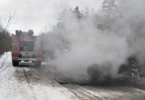 Грузовик со льном вспыхнул на трассе в Вологодской области