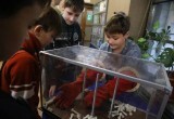 Жестянников: научные разработки на местах должны находить практическое применение на предприятиях
