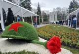 Цветы памяти и шлем героя украсили Вологду к 9 Мая