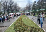 Цветы памяти и шлем героя украсили Вологду к 9 Мая